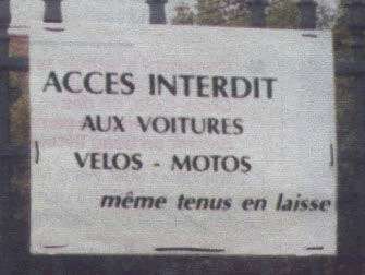 bizard